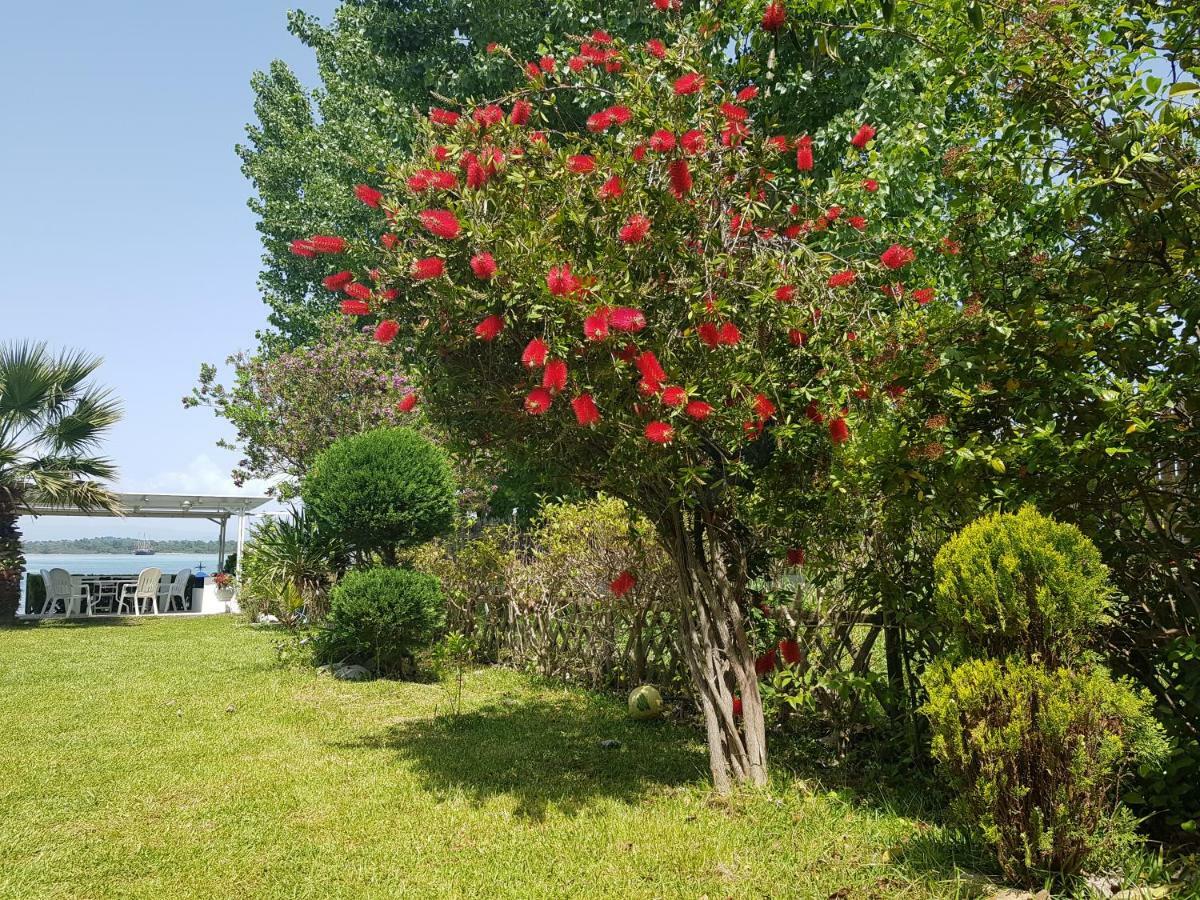 沃尔沃罗Dimitra'S House别墅 外观 照片